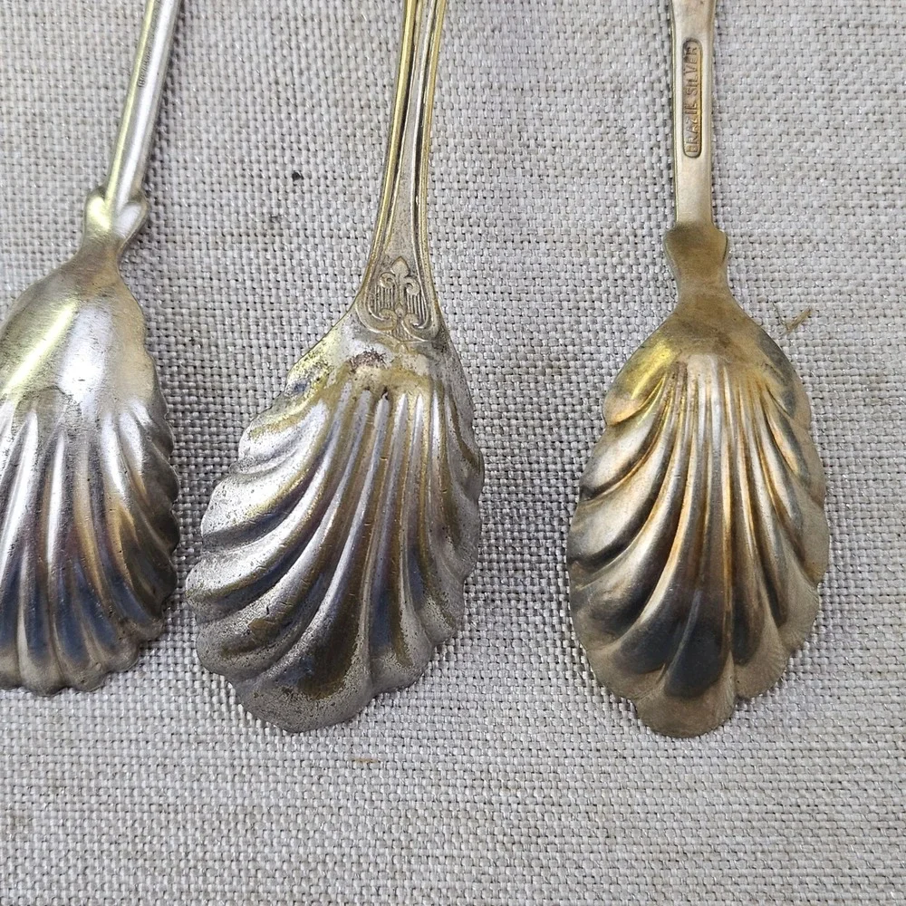 Rogers Brazil Silver Antique Shell Spoons Set 3 Monogrammed R TU B Salt Sugar